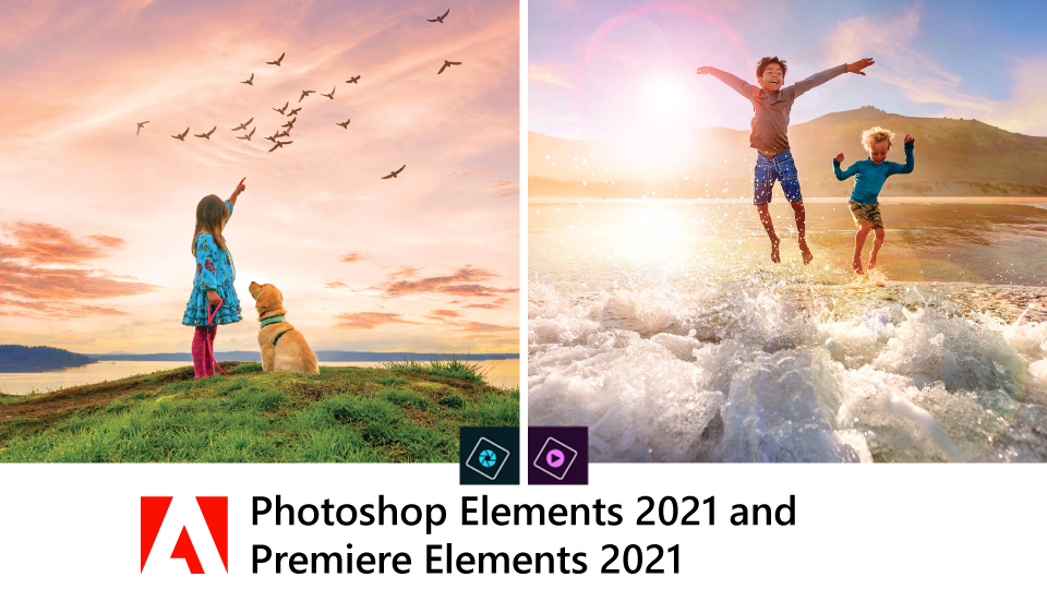 Adobe photoshop elements 2021 fully