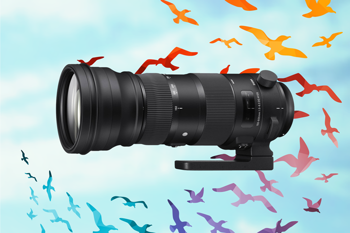 Sigma 150-600mm f/5-6.3 DG OS HSM Sports Lens Sigma 150-600mm f/5-6.3 DG OS HSM Sports Lens
