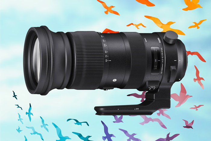 Sigma 60-600mm f/4.5-6.3 DG OS HSM Sports Lens Sigma 60-600mm f/4.5-6.3 DG OS HSM Sports Lens