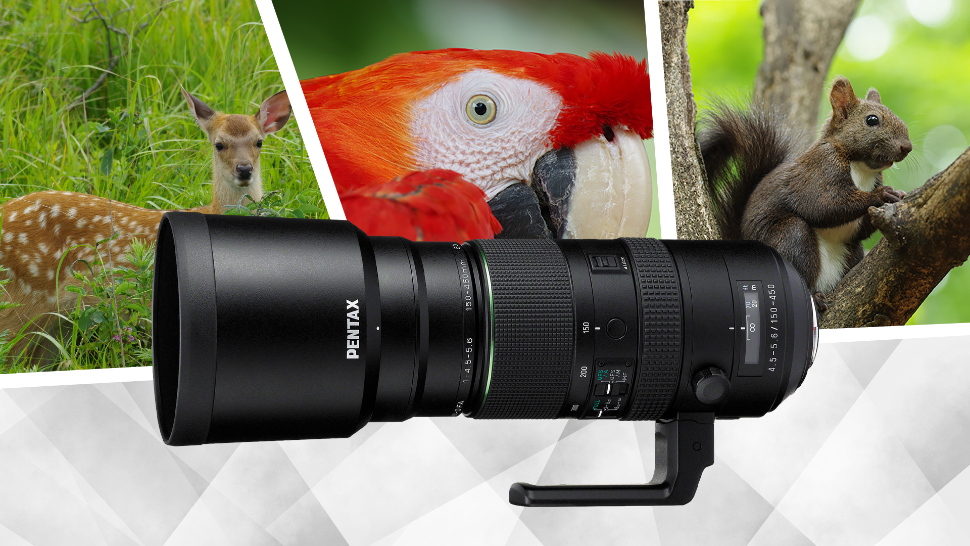 Pentax HD PENTAX D FA 150-450mm f/4.5-5.6 DC AW Lens