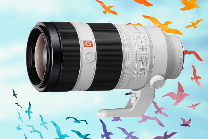 Sony FE 100-400 f/4.5-5.6 GM OSS Lens Sony FE 100-400 f/4.5-5.6 GM OSS Lens