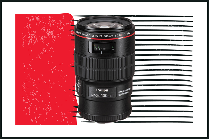 Canon EF 100mm f/2.8L Macro IS USM Lens Canon EF 100mm f/2.8L Macro IS USM Lens