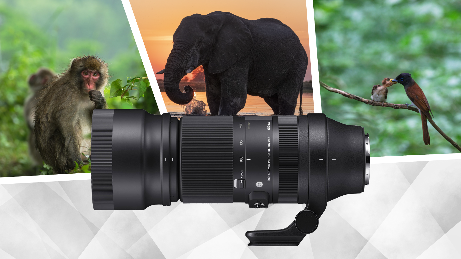 Sigma 100-400mm f/5-6.3 DG DN OS Contemporary Lens for Leica L