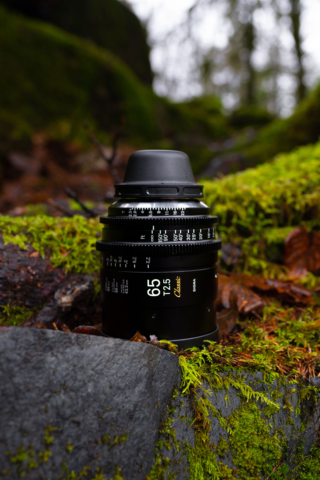 Sigma 65mm T2.5 FF Cine Classic Art Prime Lens Sigma 65mm T2.5 FF Cine Classic Art Prime Lens