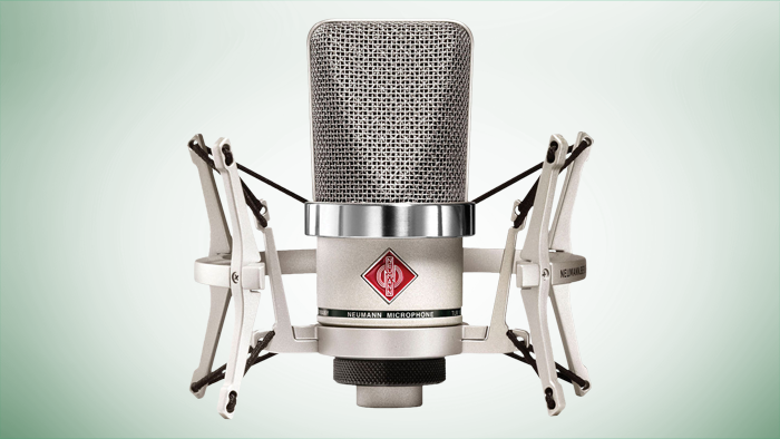 Neumann TLM 102 Studio Set Large-Diaphragm Cardioid Condenser Microphone with Shockmount