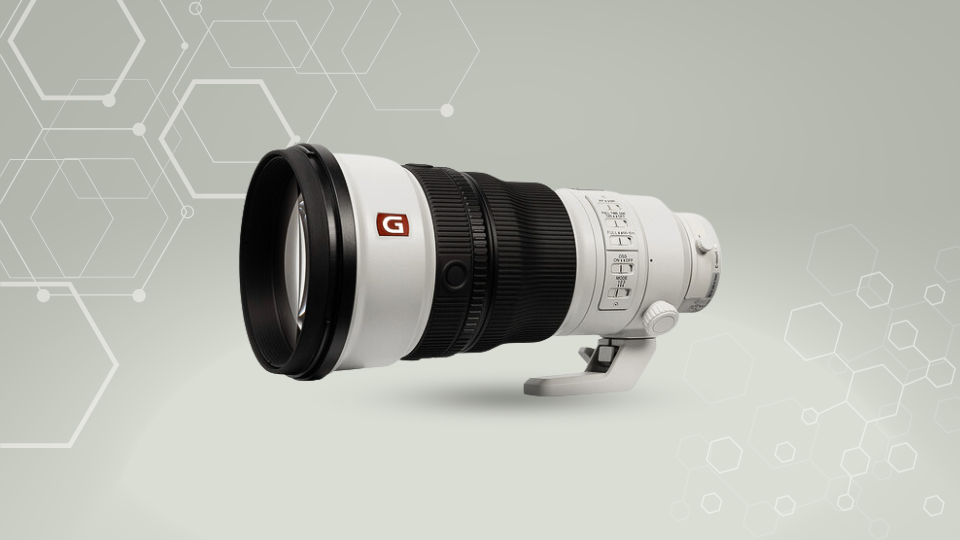 FE 300mm f/2.8 GM FE 300mm f/2.8 GM