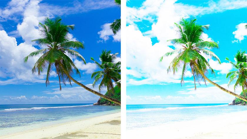 Cameras with a wide dynamic range are able to hold onto more detail in the shadows and highlights. The image on the left shows what an image with wide dynamic range would look like and the image on the right shows what the same image would look like with narrow dynamic range