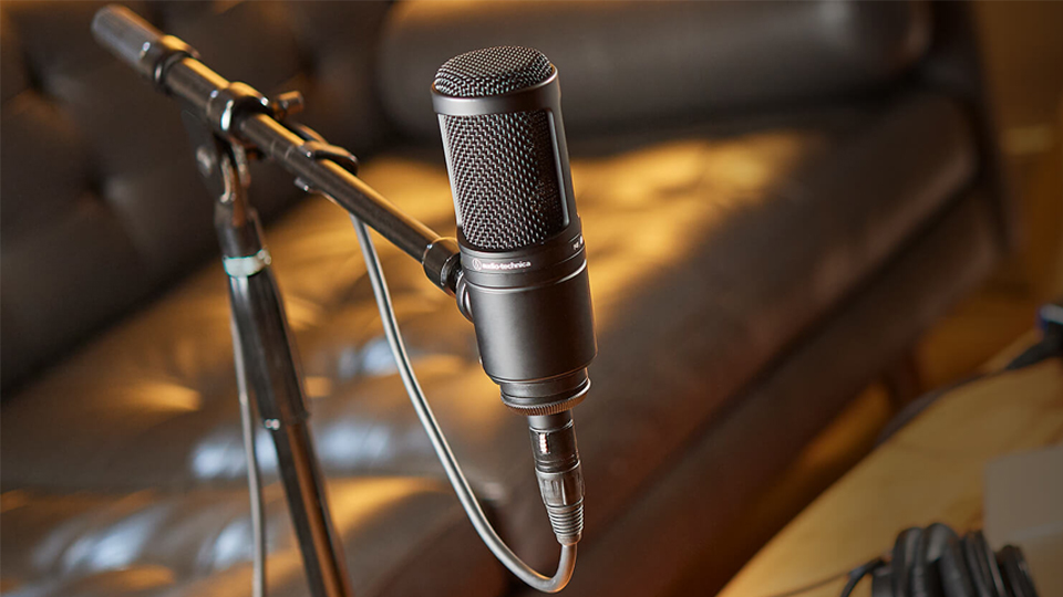 Audio Technica AT2020 Mic