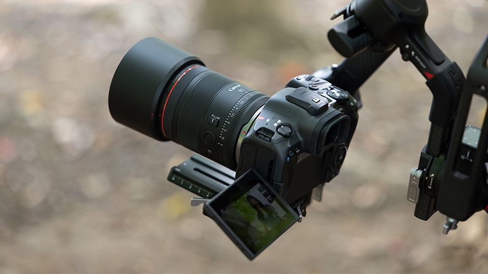 Canon RF 85mm f/1.4 L VCM Lens