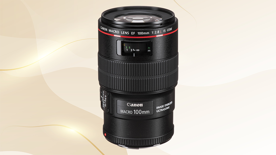 Canon EF 100mm f/2.8L Macro IS USM Lens Canon EF 100mm f/2.8L Macro IS USM Lens