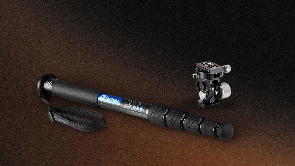 Leofoto MP 285C 5 Section Carbon Fiber Monopod with VH 10S 2 Way Tilt Head
