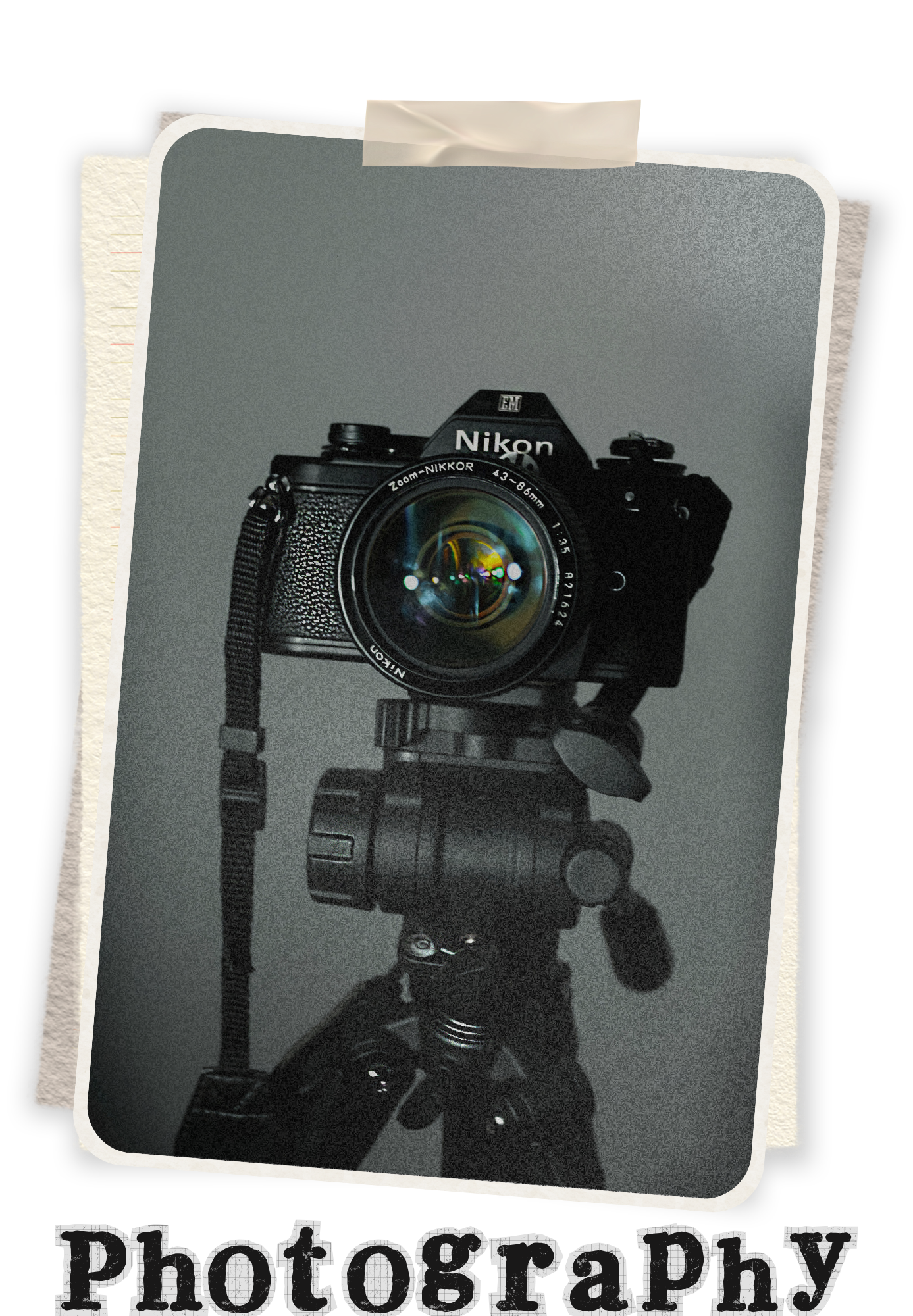 Photography Major Photography Major