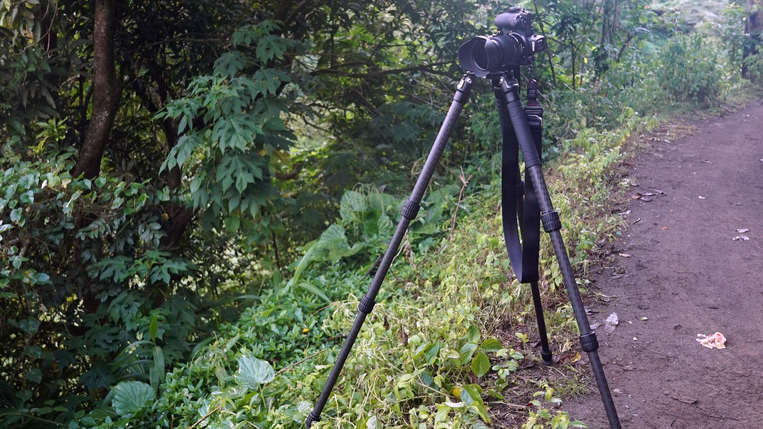 Robus RC-5558 Vantage Series 3 Carbon Fiber Tripod Robus RC-5558 Vantage Series 3 Carbon Fiber Tripod