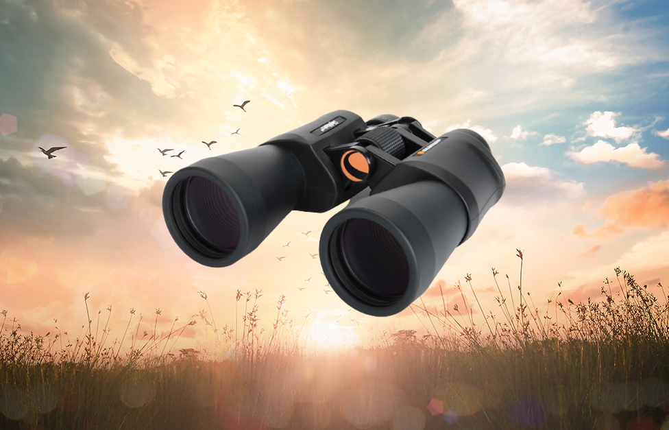 Celestron 8x56 SkyMaster DX Binoculars Celestron 8x56 SkyMaster DX Binoculars