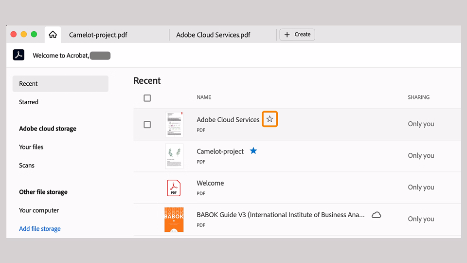 Adobe Adds AI to Premiere Elements 2025 and Updates Acrobat