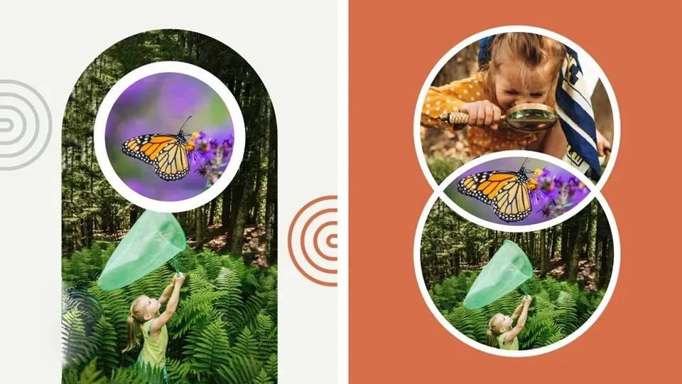 Adobe Adds AI to Premiere Elements 2025 and Updates Acrobat