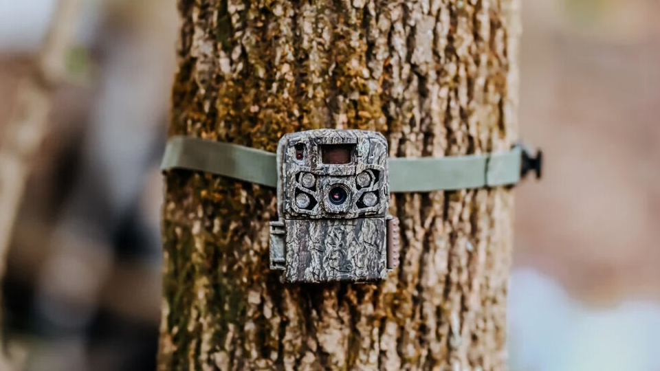 Browning Strike Force Full HDR 40MP Trail Camera Browning Strike Force Full HDR 40MP Trail Camera