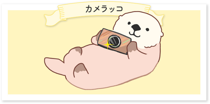 The official mascot of CP+, Cameracco