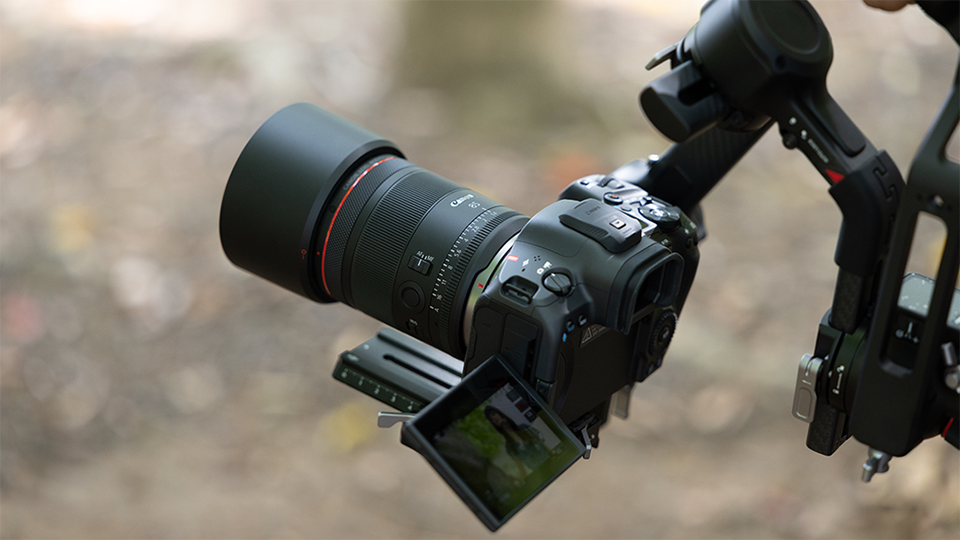 Canon RF 85mm f/1.4 L VCM Lens
