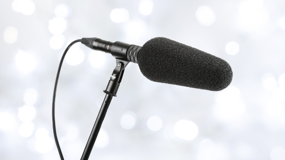 DPA Microphones 2017 Supercardioid Shotgun Microphone