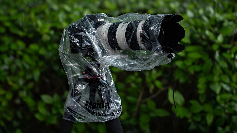 Haida Rain and Dust Cover Haida Rain and Dust Cover