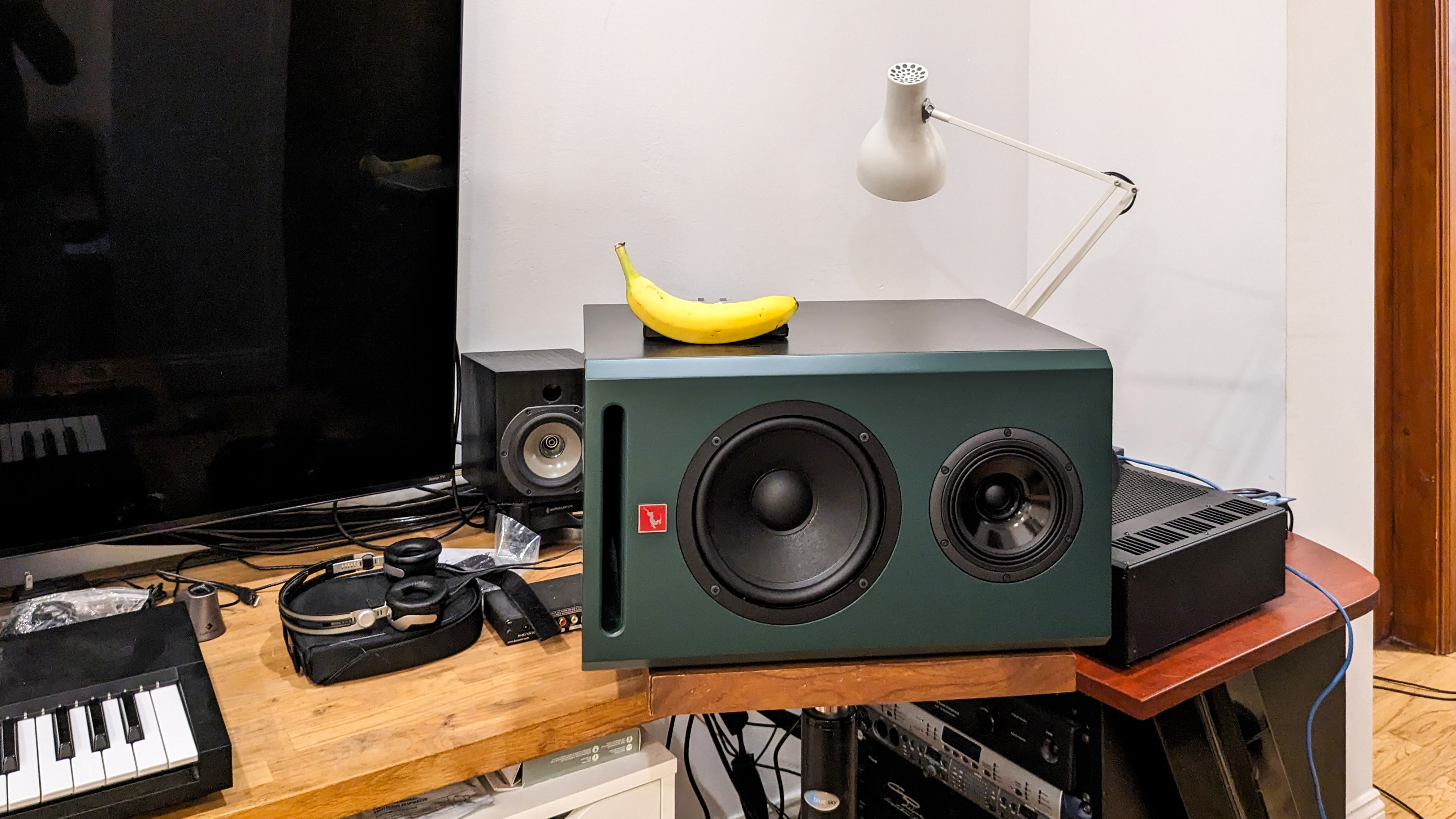 Banana for Scale