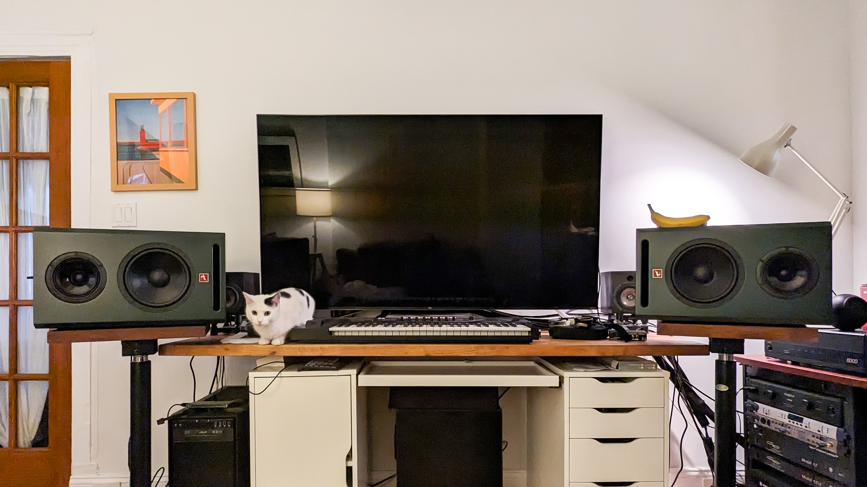 Cat, 65" Television, and Banana for Scale