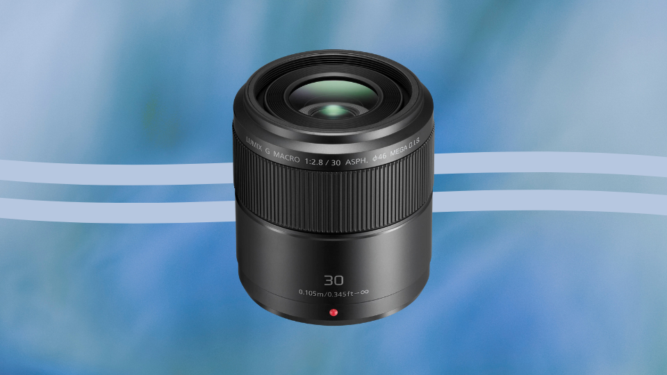 Panasonic LUMIX G Macro 30mm f/2.8 ASPH MEGA O.I.S. Lens Panasonic LUMIX G Macro 30mm f/2.8 ASPH MEGA O.I.S. Lens