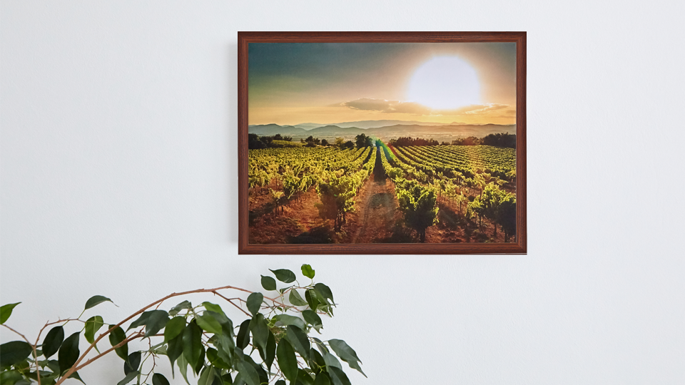How to Choose the Right Paper for Photo Prints