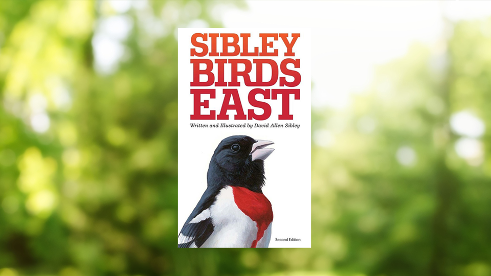 Sibley Guides Book: Sibley Birds East (2nd Edition) Sibley Guides Book: Sibley Birds East (2nd Edition)