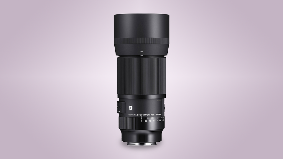 Sigma 105mm f/2.8 DG DN Macro Art Lens