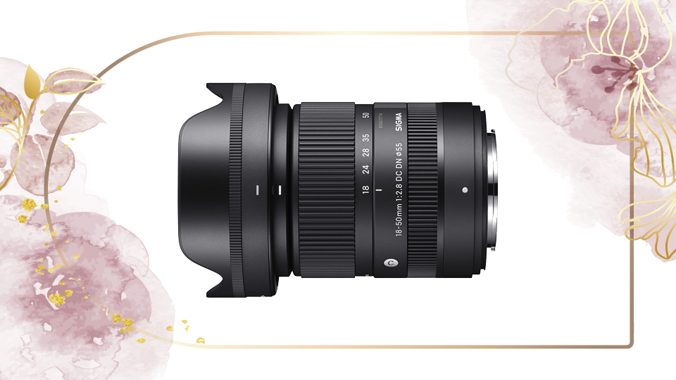 Sigma 18-50mm f/2.8 DC DN Contemporary Lens for FUJIFILM X