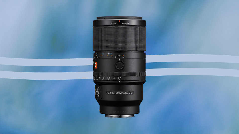 Sony FE 100mm f/2.8 Macro GM Lens Sony FE 100mm f/2.8 Macro GM Lens