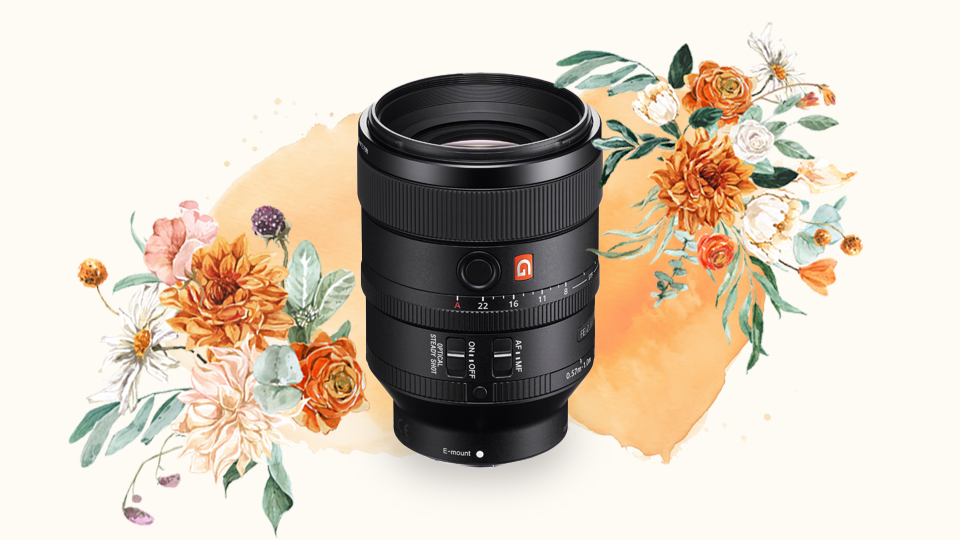 Sony FE 100mm f-2-8 STF GM OSS Lens Sony FE 100mm f-2-8 STF GM OSS Lens