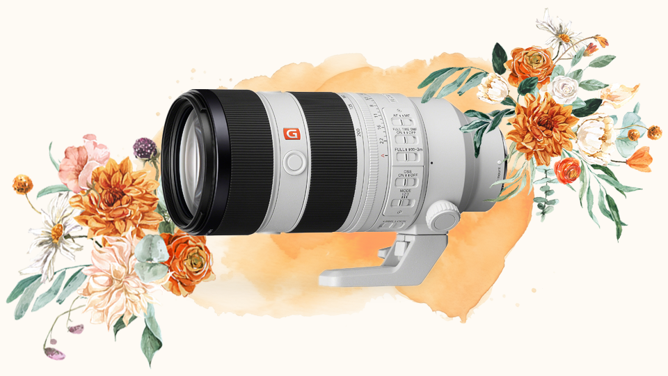 Sony FE 70-200mm f/2.8 GM OSS II Sony FE 70-200mm f/2.8 GM OSS II