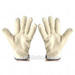 http://www.bhphotovideo.com/c/buy/gloves/ci/24812/N/3850431554