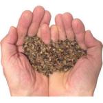 https://www.bhphotovideo.com/c/search?Ntt=kinesis%20buckwheat%20hulls%20for%20&N=0&InitialSearch=yes&sts=ma&Top+Nav-Search=