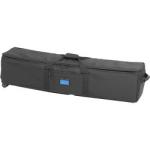 https://www.bhphotovideo.com/c/search?sts=ma&ci=15294&Ntt=Lightstand%20bags