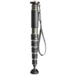 https://www.bhphotovideo.com/c/search?sts=ma&fct=fct_brand_name%7cgitzo%2b&N=0&Ntt=Gitzo%20monopod&