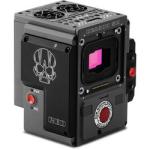 https://www.bhphotovideo.com/c/buy/video/Ntt/red+dsmc2+brain/Ntt/0/