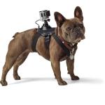 http://www.bhphotovideo.com/c/product/1079882-REG/gopro_adogm_001_fetch_dog_harness_for_gopro.html