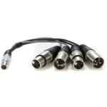 http://www.bhphotovideo.com/c/product/1123990-REG/atomos_atomcab016_lemo_type_to_xlr.html
