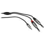 https://www.bhphotovideo.com/c/product/846984-REG/Hosa_Technology_HMP_010Y_REAN_3_5_mm_TRS.html