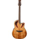 https://www.bhphotovideo.com/c/product/1239625-REG/ovation_celebrity_elite_plus_series.html