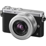 Panasonic Lumix DMC-GM1 Mirrorless Micro Four Thirds Digital Camera 