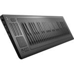 http://www.bhphotovideo.com/c/product/1218341-REG/roli_sbrise49_seaboard_rise_keyboard.html