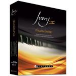 https://www.bhphotovideo.com/c/product/736107-REG/Synthogy_ILIVIG2_Ivory_II_Italian_Grand.html