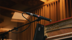 5 Under $500: Vocal Microphones for Working Musicians
