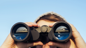 The Best Full-Sized Binoculars