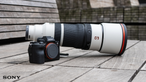 Resolution Meets Speed in the a7R VI and FE 100-400mm f/4.5 G Master